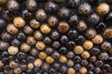 Coconut shell pattern