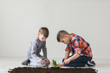 The brothers make planting in the soil on the floor