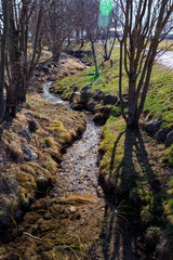 Sunny stream