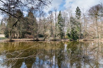 Fototapeta na wymiar lake in park