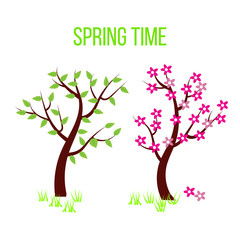 Obraz premium Spring time tree composition with flowers and leaves