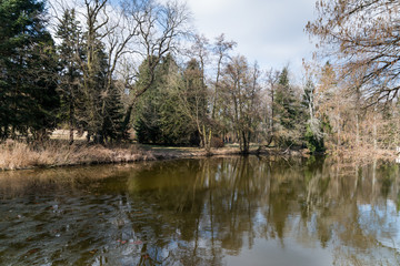 Obraz premium lake in park