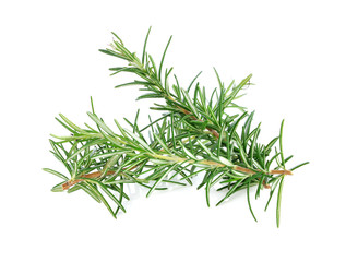 rosemary isolated on white background