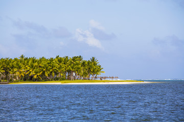 Beautiful tropical beach, palm tree and sea water in island Mauritius