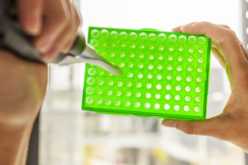 Scientist preparing green matrix by pipette