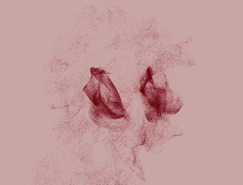 Insieme di punti che si trasformano in una testa umana