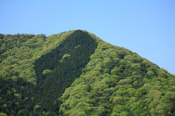 山の尾根