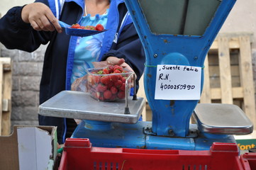 Marché de Riga © Schohn
