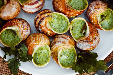 Escargots de Bourgogne - Snails with herbs butter, gourmet dish in French traditional  with parsley and bread on white platter