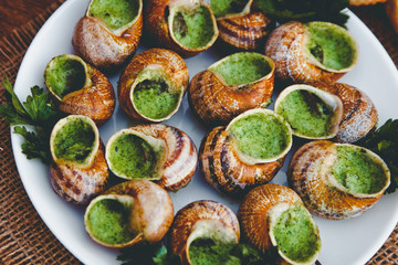Escargots de Bourgogne - Snails with herbs butter, gourmet dish in French traditional  with parsley and bread on white platter