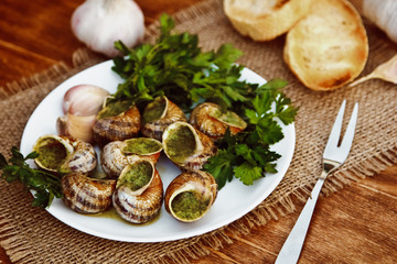 Escargots de Bourgogne - Snails with herbs butter, gourmet dish in French traditional  with parsley...