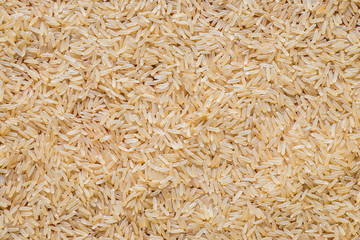 Rice grain on top