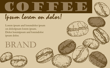 painted coffee beans, sketch, vector drawing, perfect ingredient, choice grain