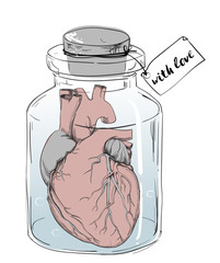 heart - funny anatomy joke