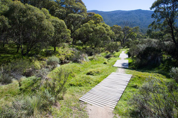 Lake Crackenback Walking Trails