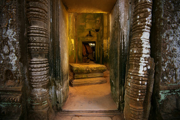 Ta Prohm, Angkor Wat in Cambodia.