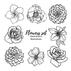 Hand drawn vector illustration - Flowers set (succulent, rose, peony, tropical flower). Perfect for wedding invitations, greeting cards, quotes, blogs, posters etc. Vintage collection