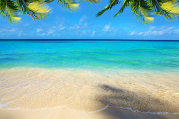 Fototapeta premium Caribbean sea and blue sky.