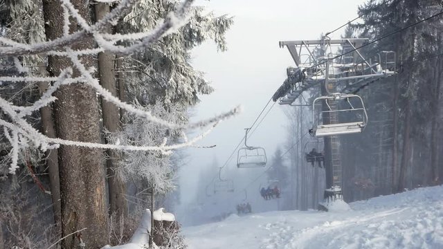 Ski lift chairs going up and down along a continuously circulating steel cable loop in the woods in wintertime; hoarfrost and snow covered tree branches in the foreground