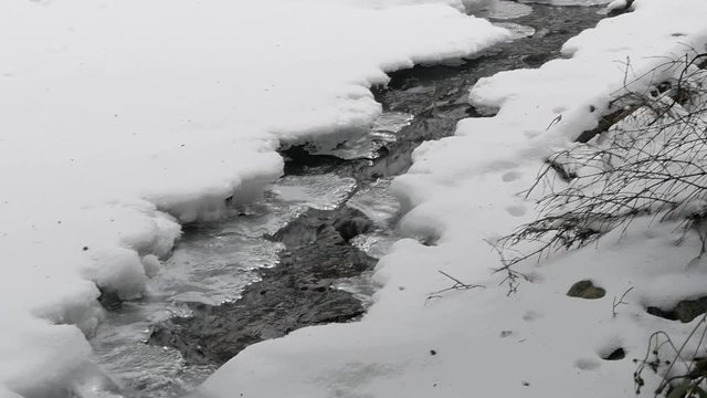 A beautiful crystal clear river flows in the forest in winter ; its moving water rushes through ice and snow