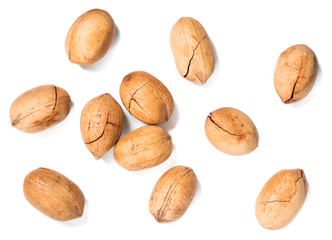 dried pecan fruits on white