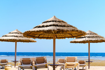 Fototapeta premium Beach straw umbrellas and sunbeds on the sandy sea shore. A bright sunny day. Clear blue sky.