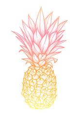 Hand drawn vector illustration - Pineapple. Exotic tropical fruit. Sketch. Outline. Perfect for tattooing, invitations, greeting cards, blogs, posters etc.