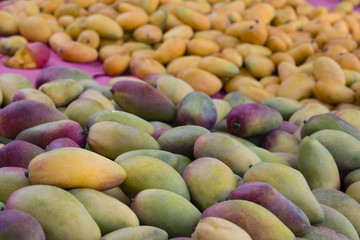 Colourful yellow, green and purple mango fruits at the market stall