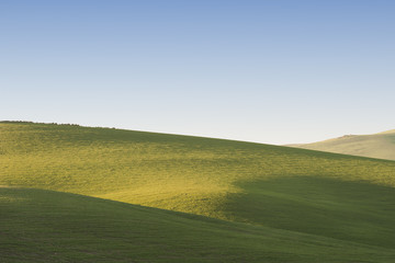 Spring landscape with fresh green grass