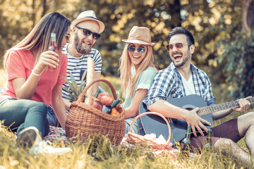 Happy young friends having picnic in the park - obrazy, fototapety, plakaty