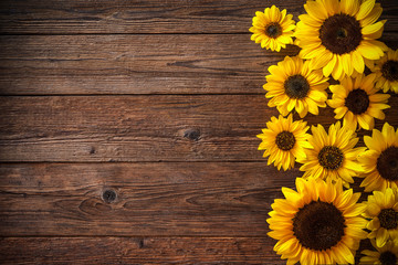 Fototapety  Sunflowers on wooden background