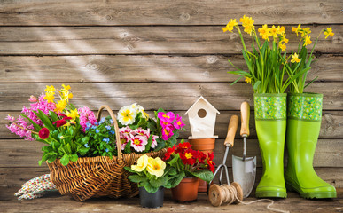 Gardening tools and spring flowers