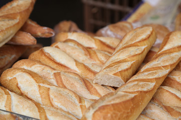 本場のフランスパン