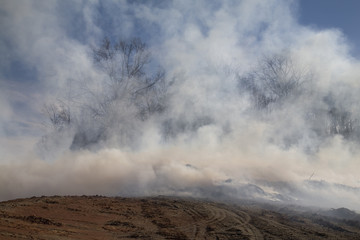 Mulch Fire at Land Development
