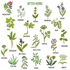 Bitter herbs collection - obrazy, fototapety, plakaty