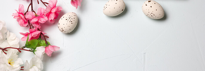Painted easter eggs and branches of spring sakura closeup on a light blue background with space for congratulation, border design panoramic banner