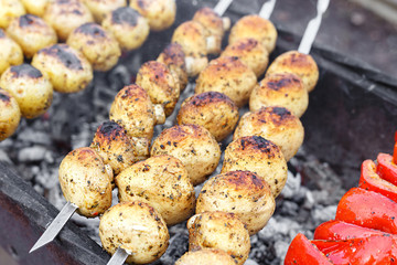 Vegetables on skewers on a grill