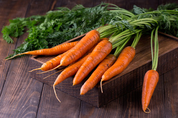 fresh carrots bunch on rustic wooden background