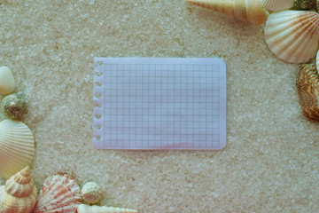 Photo frame from seashells with sea salt crystals background and clear notebook paper sheet