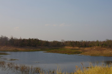 small lake among forest.
