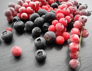 Gefrorene Waldbeerenund Johannisbeeren 