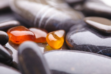 sea stones