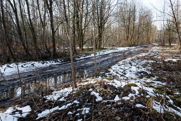 bad shape country road