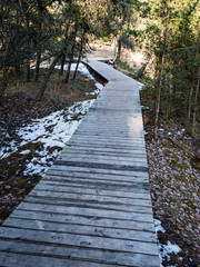 sunny tourist track with boardwalks
