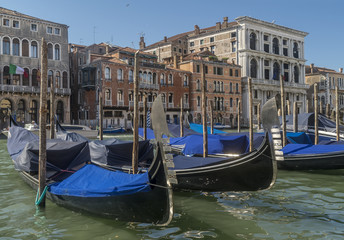 Fototapeta na wymiar Parking point of traditional Venetian gondolas on the Grand Canal, in front of Palazzo Cavalli, on a sunny summer day, Venice, Italy