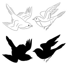 The outline and of the silhouette of the birds set of six vector illustration