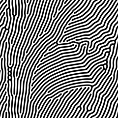 Abstract background of vector organic irregular lines maze pattern