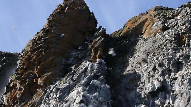 Destroyed basalt cliffs of island NORTHBROOK (Franz-Josef Land), waterfall, bird colony on ledges
