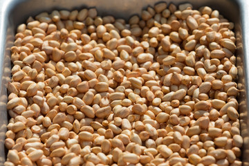 peeled peanuts in a container