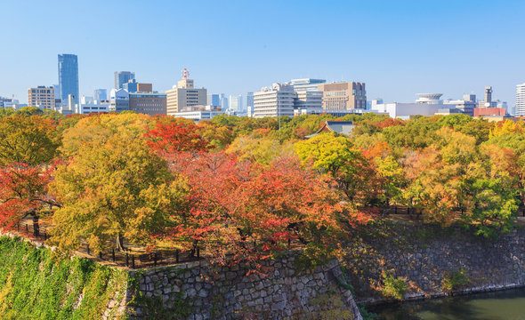 Aerial view of Osaka cityscape from castle in autumn season at Japan